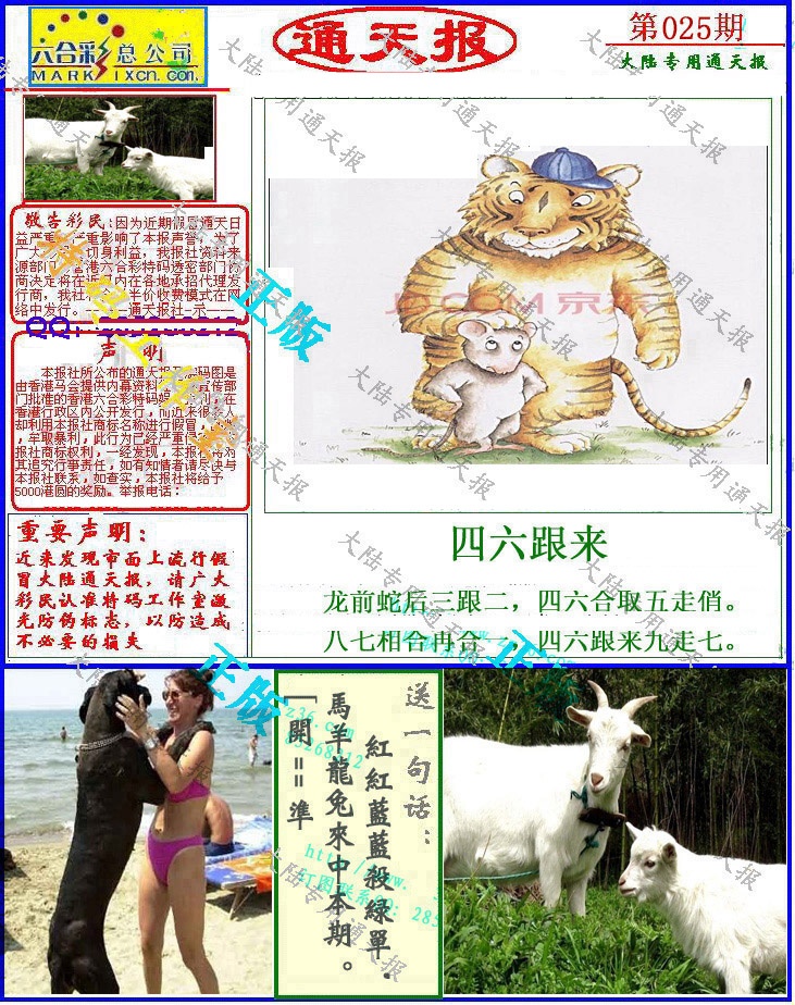 025期大陆通天报[图]