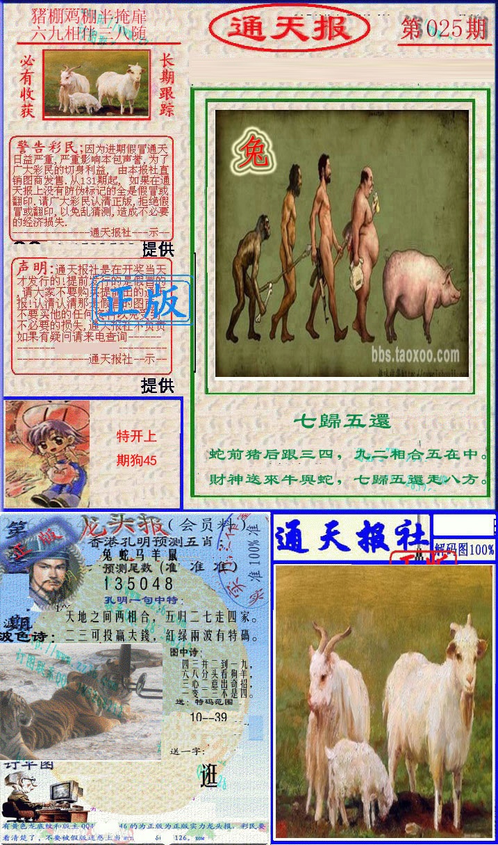 025期实力通天报[图]