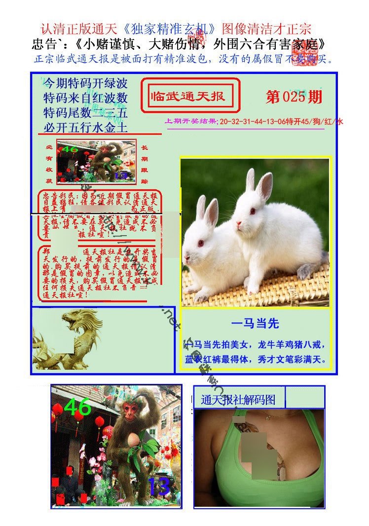 025期临武通天报[图]