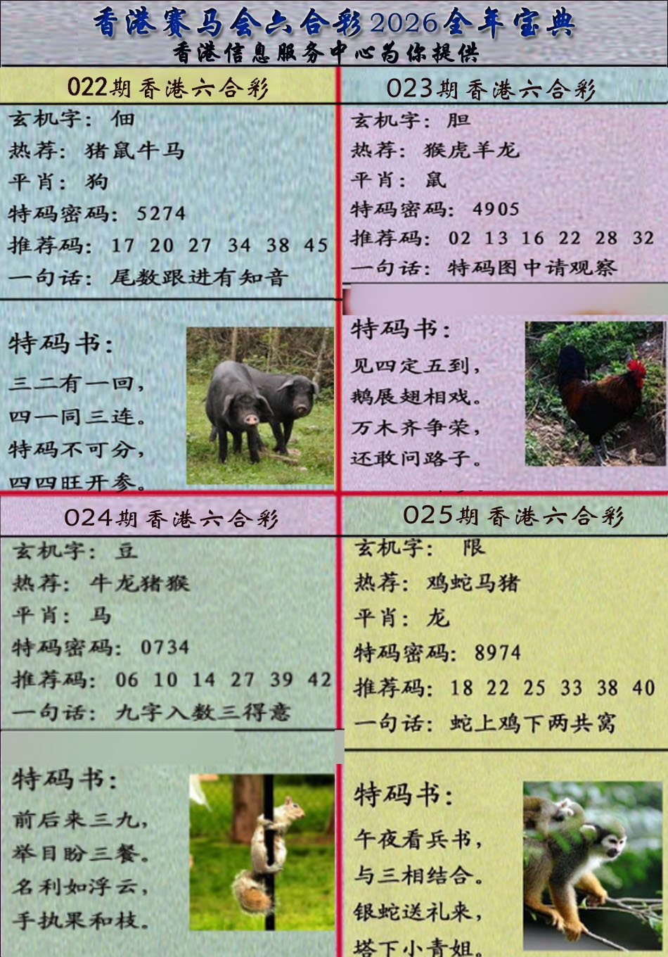 025期宝典报[图]